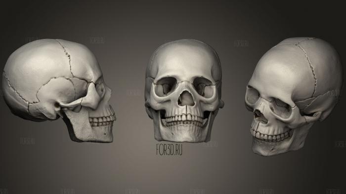 Color skull 3d stl модель для ЧПУ